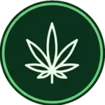 Cannabis