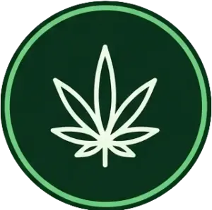 Cannabis
